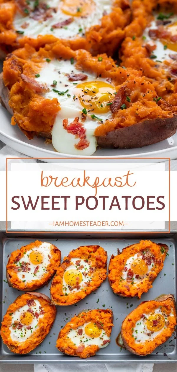 Healthy breakfast sweet potato served with toppings and spices