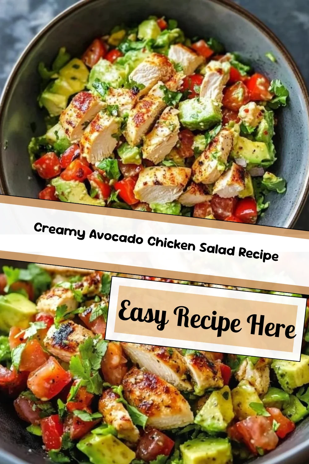 Creamy Avocado Chicken Salad Recipe